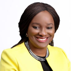 Bimbo Komolafe FCA, FCIB